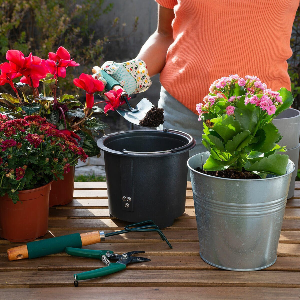 Compostador Eléctrico de Cocina Ewooster InnovaGoods - Astihl - quality