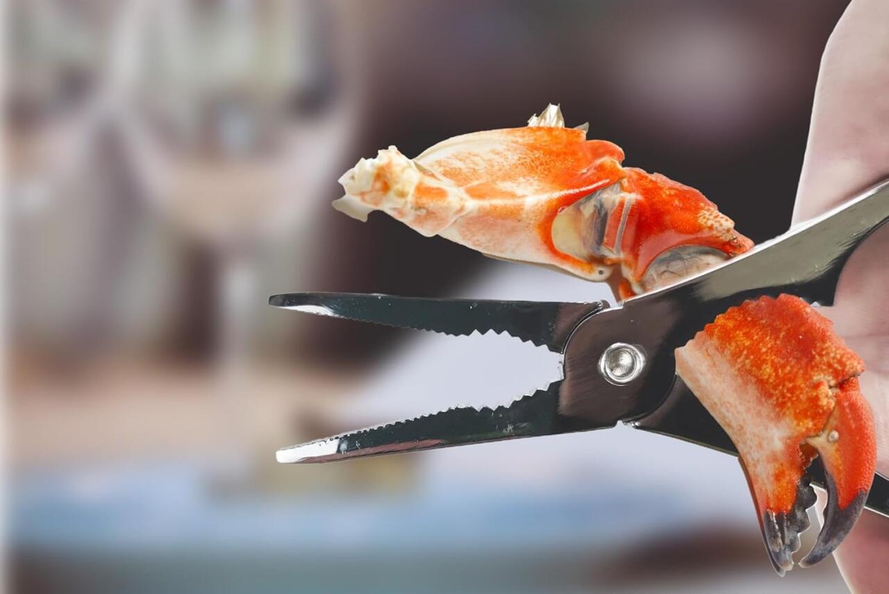 Utensilios para marisco